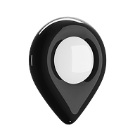 visit