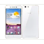 Oppo R1