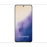 Vivo X60