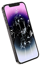 mic
